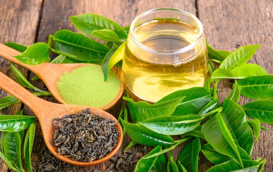 Le thé vert et ses bienfaits (Mémoire, Concentration, Digestion