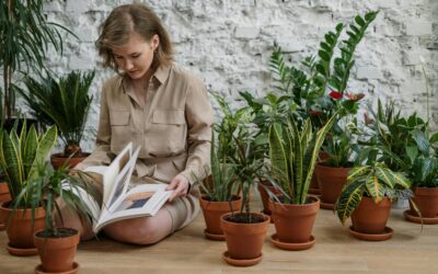 Créez votre jardin d’intérieur et transformez votre espace en oasis de verdure